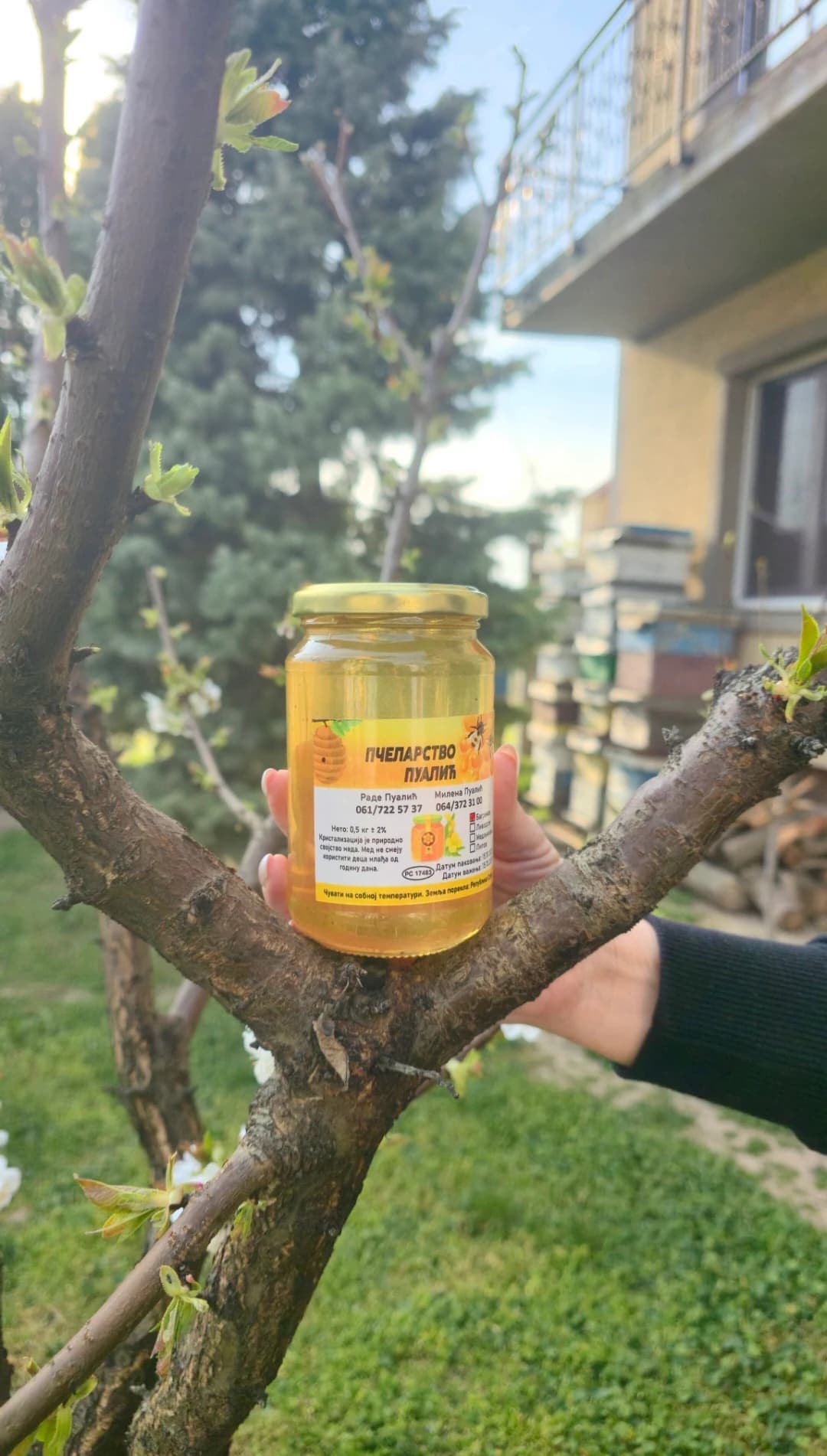 洋槐蜂蜜